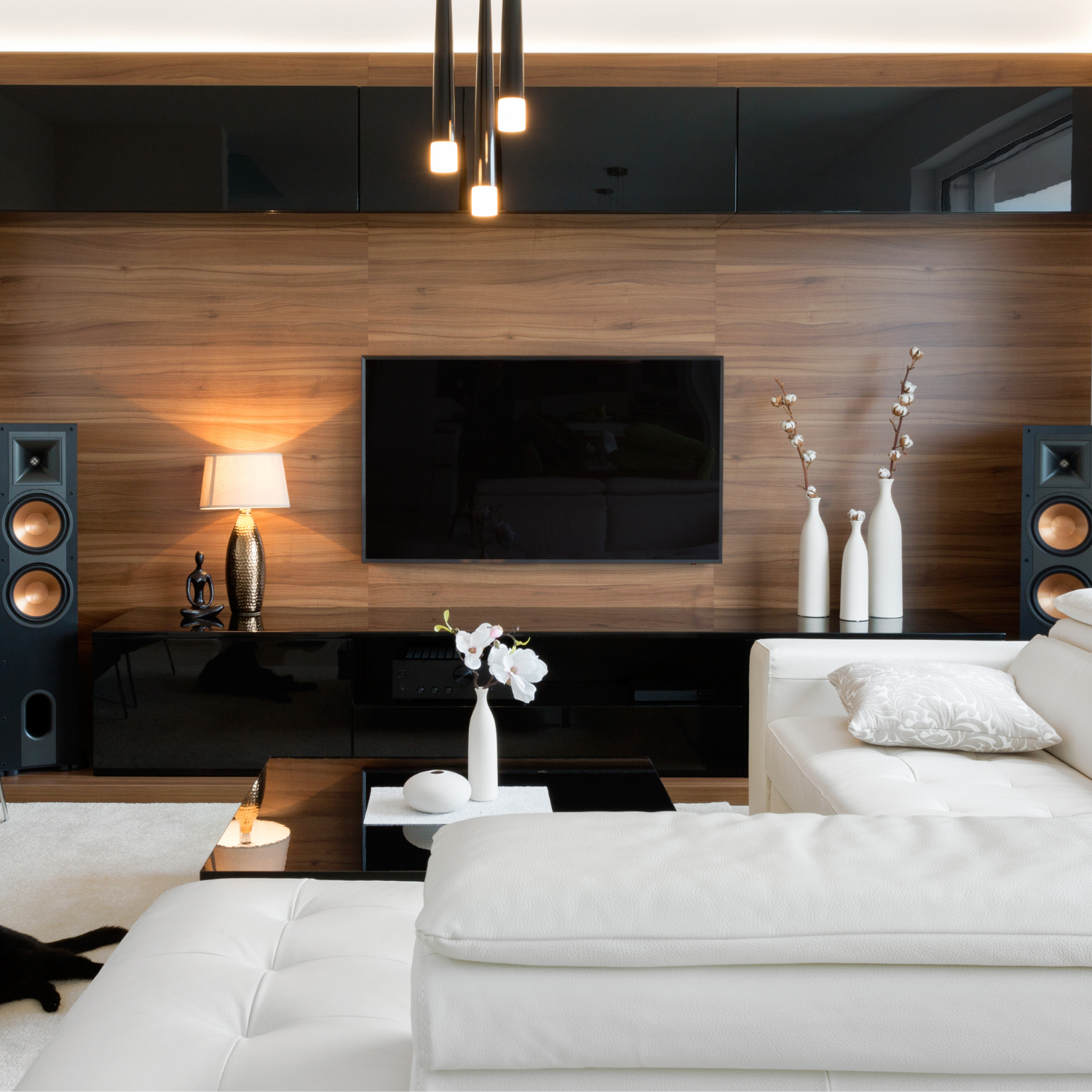 Wall-mounted TV with integrated speakers